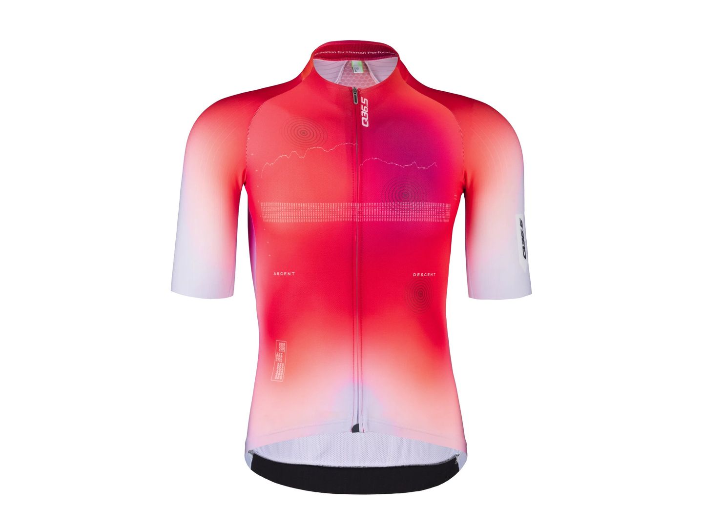 Q36.5 Gregarius Pro QLAB Jersey