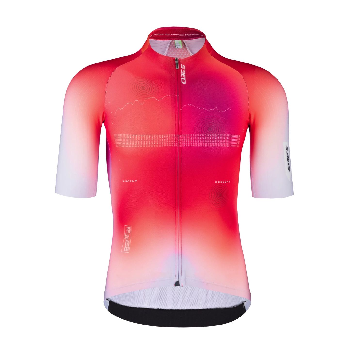 Q36.5 Gregarius Pro QLAB Jersey